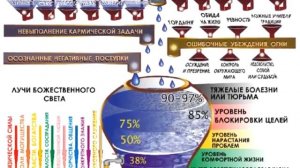 Кэмерон Дэй. Почему я больше не работник света.