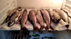 Вяленый хариус