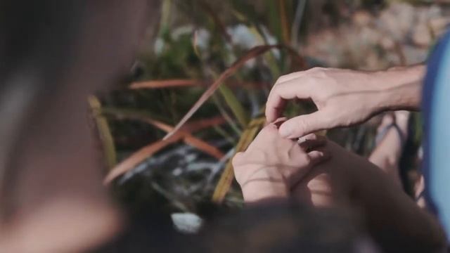 Стихи Роберт Бернс "Застольная" смотреть онлайн