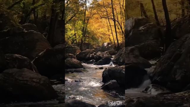 Music for the soul. Музыка для души. Флейта лечит. Личебная мужика. смотреть онлайн