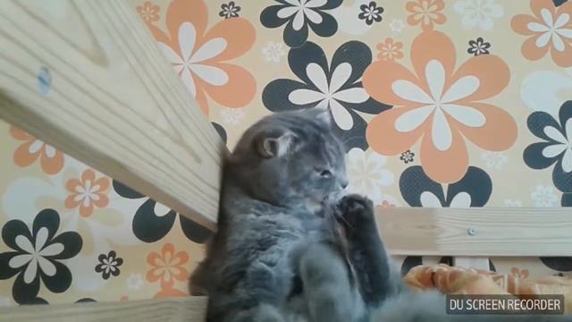 15 сентября 2017 г. смотреть онлайн