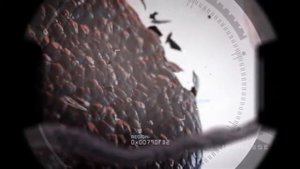 ТЕЛОМЕРЫ - секрет нашей молодости!