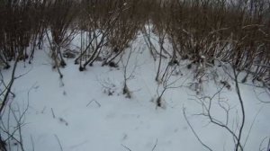 петля на зайца,установка 4-х петель