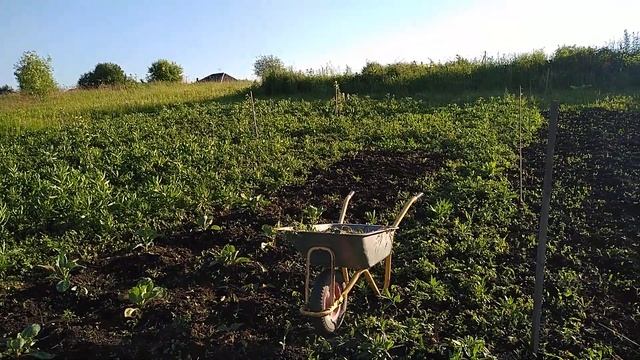 Шлифовка бани,окно, арка на калитке. #своимируками, #шлифовкадерева, #арка, #аркавсаду,