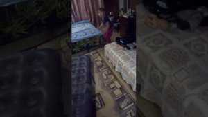 Накачиваем надувной матрас