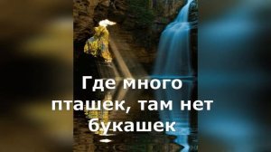 Пословицы о ЭКОЛОГИИ. 35 пословиц. С озвучиванием. Пословицы и поговорки.