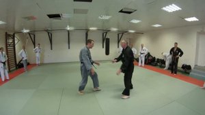 Оперативное каратэ