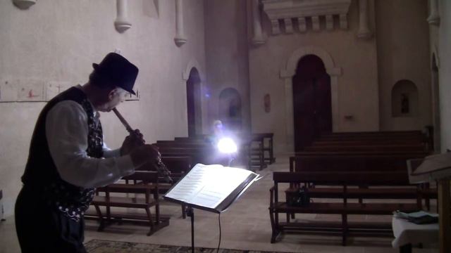 Dvoskin Vladimir(Flute)-Jerusalem-22.02.2016-1 смотреть онлайн