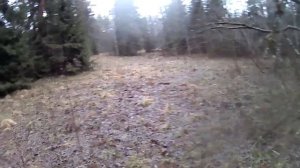 дальнобойный патрон 12 калибра