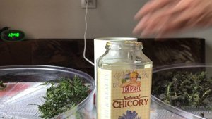 Заготовка крапивы и сныти на зиму