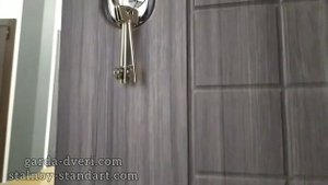 Входная дверь Гарда S7 зеркало / Стальной стандарт S7 зеркало