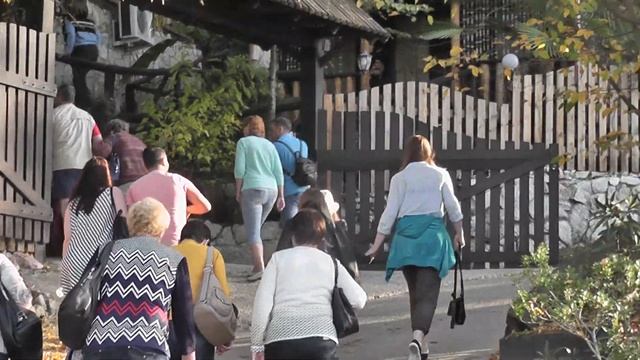 Отдых в Сочи в ноябре.