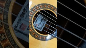 Asturias A10 S classical guitar review order from Ebay