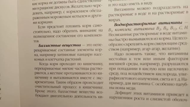 Питание дискусов 2 смотреть онлайн