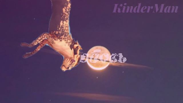 💔Покажи мне любовь♥️|| WCMV✅|| KinderMan🥀 (читать комент) смотреть онлайн