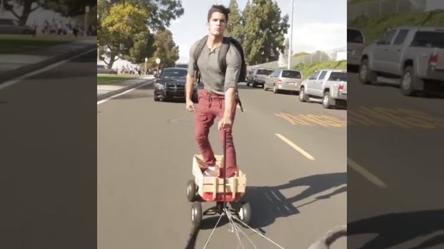 Коты везут парня кот катает новое развлечение смотреть онлайн