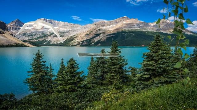 скорбим и помним смотреть онлайн