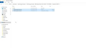 RDR2  - The Extremely Immersive Ped Damage Overhaul Mod | Installation Guide