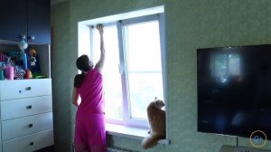 ?  Как помыть рулонные шторы ?  ?   Многодетные Еловики и Марафон чистоты для мотивации