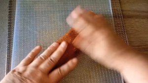 пастила из груши и мандарин в дегидраторе TAKARA.