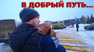 КУДА ЖЕ ВЫ МАЛЫШИ! КАК БОЛЬНО РАССТАВАТЬСЯ. Второй сезон в деревне