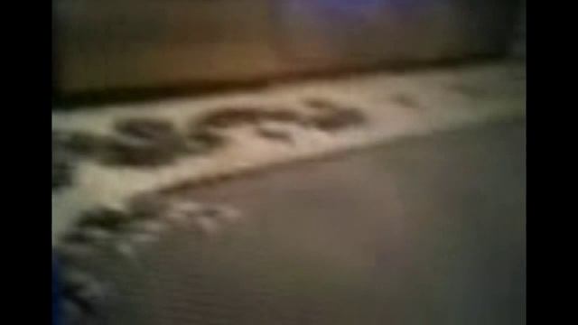 Дело №1.Чёрт в квартире. смотреть онлайн