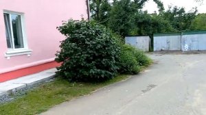 Владивосток. Гуляем по улице Татарская. Вторая речка.