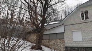 Спиливаем дуб.