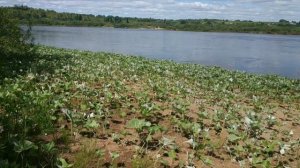 открытие рыбалки 2023