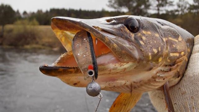 Место на реке где щука всегда есть и ловится! смотреть онлайн
