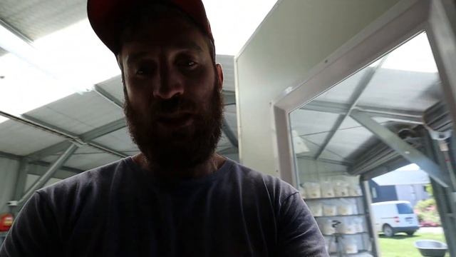 The Importance of Backup Equipment for Mushroom Farming смотреть онлайн