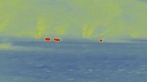 Guide TN650 Thermal Binoculars