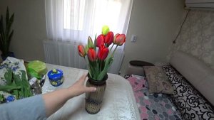 ЗАЛОЖИЛИ ИНКУБАТОР ?ПЕРВЫЙ ОПЫТ НАЧАЛСЯ  ?ЧУТЬ НЕ СДЕЛАЛА ДУРАЧКОМ ?ТЮЛЬПАНЫ ДЛЯ ВАС???
