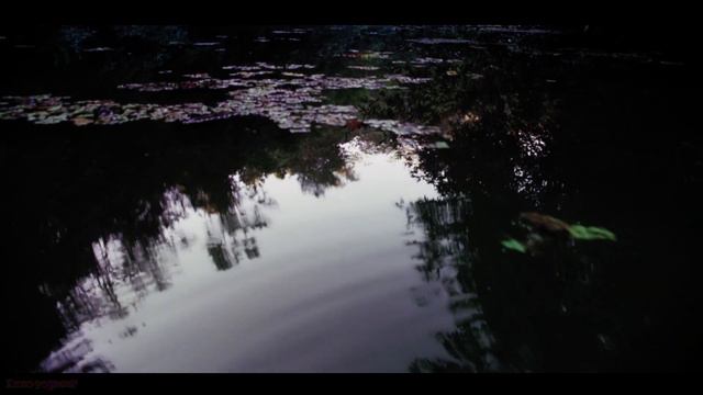 Треш Обзор Фильма: Сокровища Амазонки (2003)