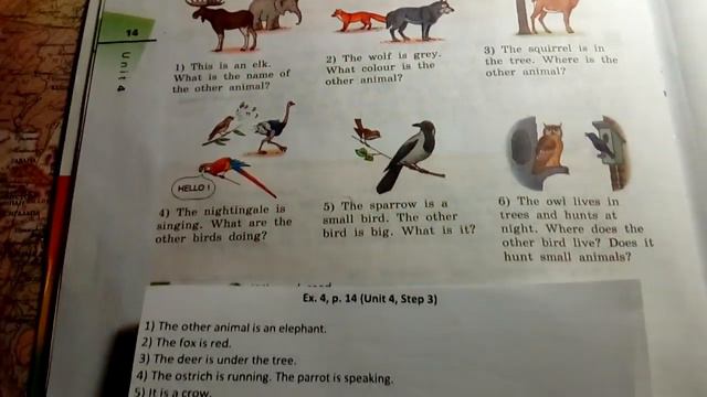 Unit 4, Step 3, Ex. 4 / ГДЗ. Rainbow English. 2 часть. 7 класс. Учебник смотреть онлайн