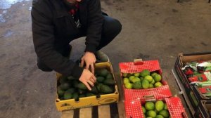 Покупка фруктов | Санкт-Петербург | Калининская база