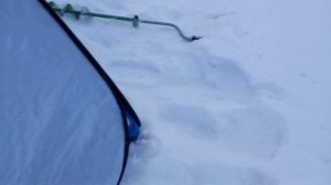 Рыба в ВОСТОРГЕ от этой наживки. Зимняя рыбалка на САЛМЫШЕ. Рыбалка в Оренбургской области