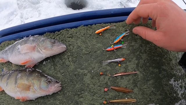 На что ловить окуня лучше всего.Чудское озеро зимняя рыбалка