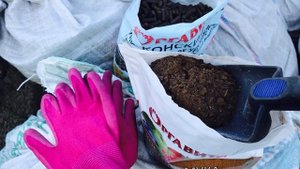 ???Этот цветник  будет красив всегда! Сажаем гортензию и пионы пошагово!#посадкагортензииипиона