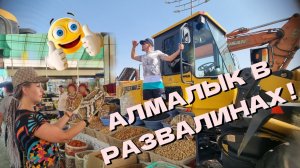 ВПЕРВЫЕ-ПОДЗЕМНЫЙ ПЕРЕХОД В АЛМАЛЫКЕ! БАЗАР И ЛЕТНИЕ ЦЕНЫ...УЛИЧНАЯ ЕДА!