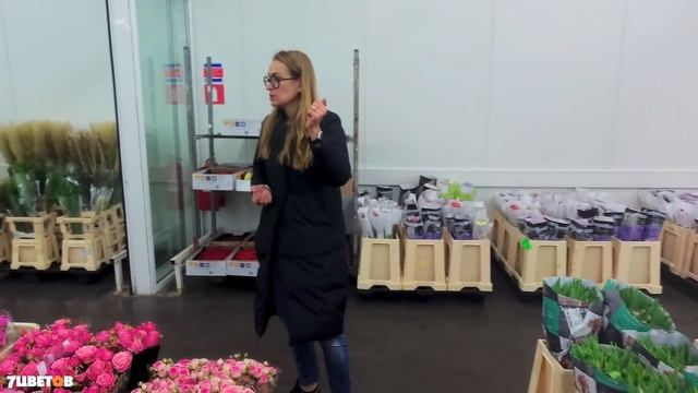 Тюльпаны и пионы осенью?! Уникальная поставка цветов в cash&carry | Обзор Ольги Шаровой