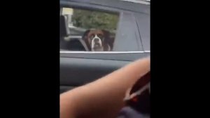 НЕОБЫЧНЫЕ ПРИКОЛЫ И МЕМЫ - #16