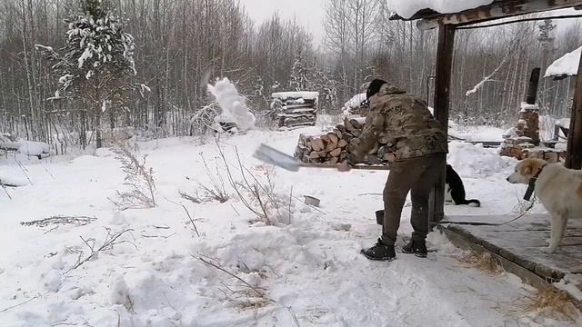 Таежные будни #СИБИРЯКОВ# смотреть онлайн