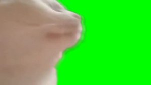 мемы на зеленом фоне