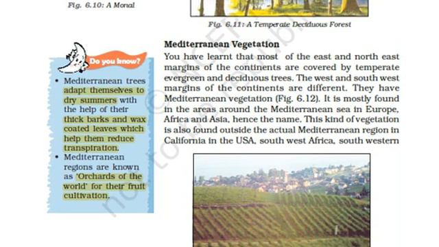 NCERT Class 7 Geography Chapter 6 смотреть онлайн