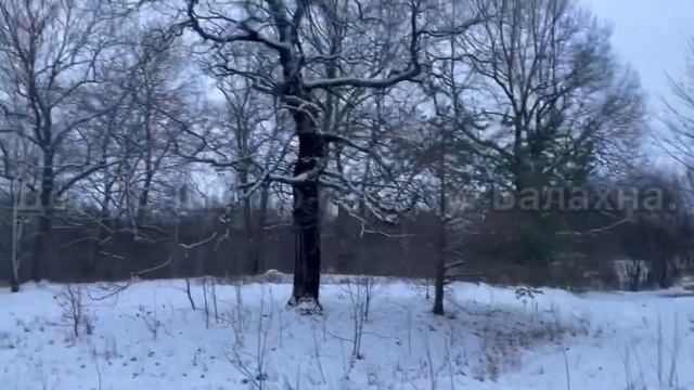 Воспоминание. Река Узола. Городецкий район. 17.11.2021 Начало зимы. смотреть онлайн