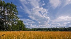 10. 07. 2014г. Портал Сил Света. Активация дольменов на востоке России