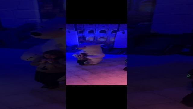 Bear dancing in a nightclub in Grodno 2024