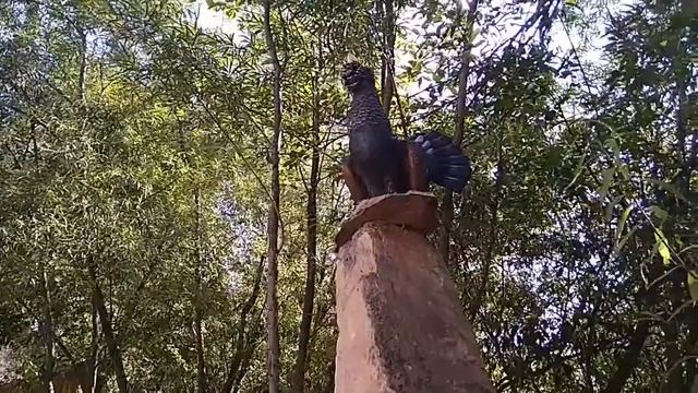 Частный парк отдыха в Мотовилихе / Куда сходить в Перми с ребенком