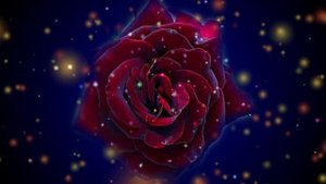 Футаж. Цветочный фон 93